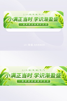 传统二十四小满节气banner