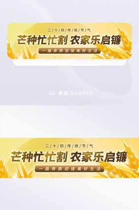 芒种传统二十四节气banner