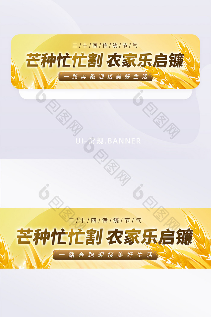 芒种传统二十四节气banner