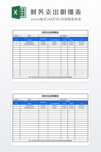 简约财务支出明细表图片