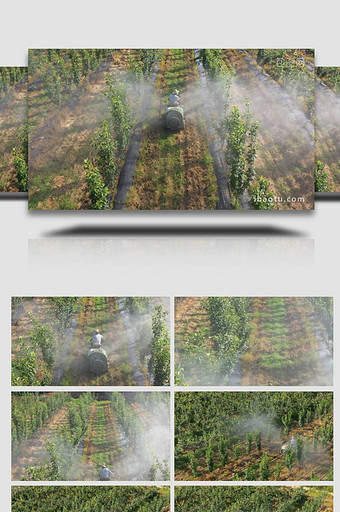 农业智慧果园喷洒农药实拍4K图片