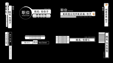 简约黑白人名条字幕花字