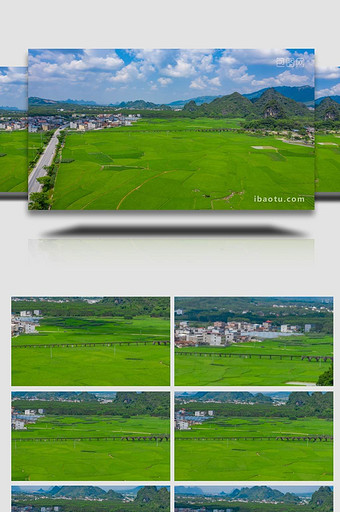 自然清新农村稻田延时实拍图片