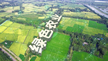 智慧科技新农村AE模板