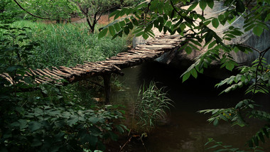 自然幽静山谷小河边独木桥视频