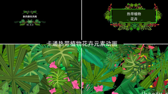 卡通热带植物花卉元素AE模板