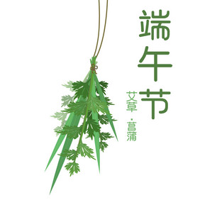 端午.艾草.菖蒲植物元素动图