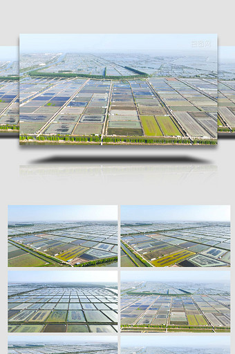 水产养殖基地4K航拍图片