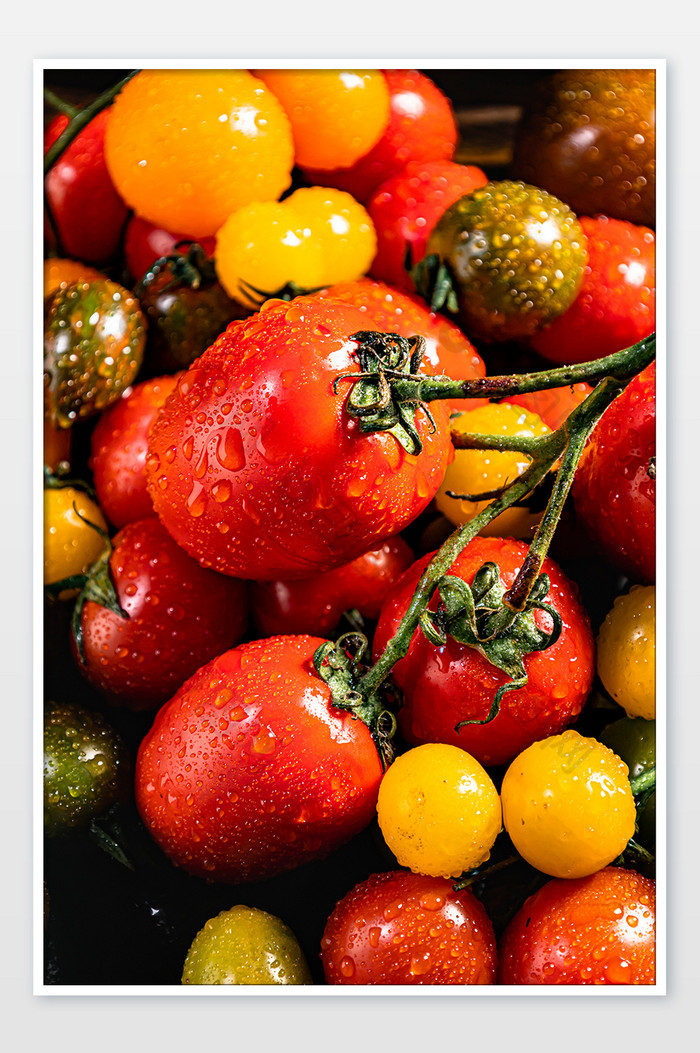 夏日水果主题各种小番茄图片图片