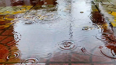 雨中雨水雨滴滴落的雨水4K实拍