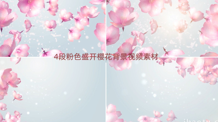 4段粉色盛开樱花背景视频素材