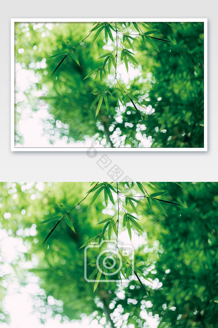 夏日绿色清新竹叶夏天节气海报图片图片