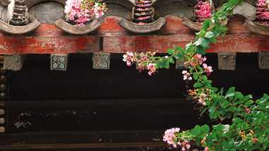 大气古建筑园林屋檐与花朵实拍