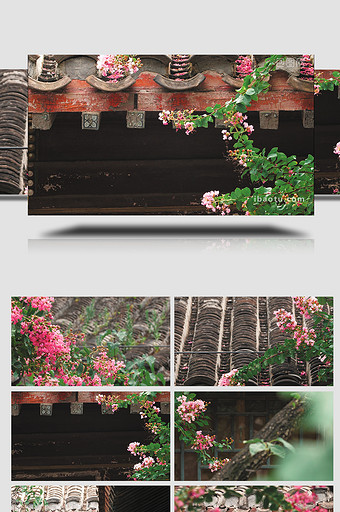 大气古建筑园林屋檐与花朵实拍图片