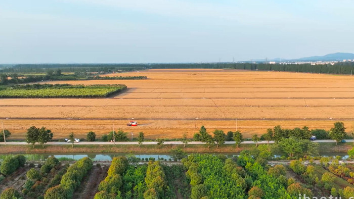 农业机械化收割麦子农忙4K航拍