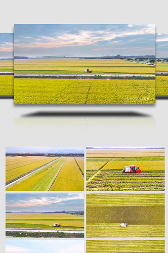 农业收割稻谷联合收割机4K航拍图片