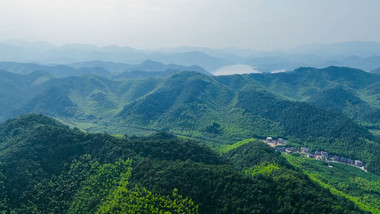 竹海森林自然山河风光4K航拍