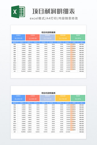 简约项目利润明细表图片