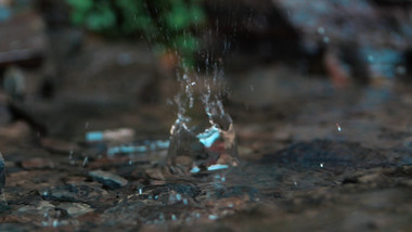 大气水滴滴落溅起水花实拍视频