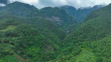 大气自然山谷云海延时实拍