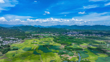 自然大气农村水稻延时实拍