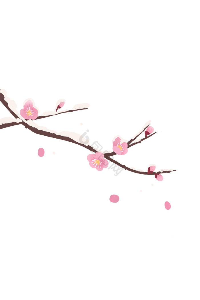 梅花雪图片-梅花雪图片模板