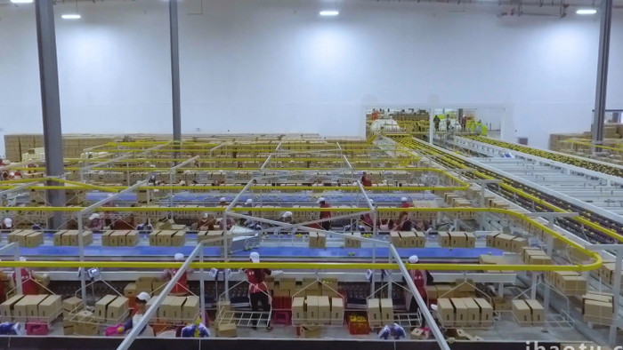 现代化冰糖橙工厂工人筛选实拍