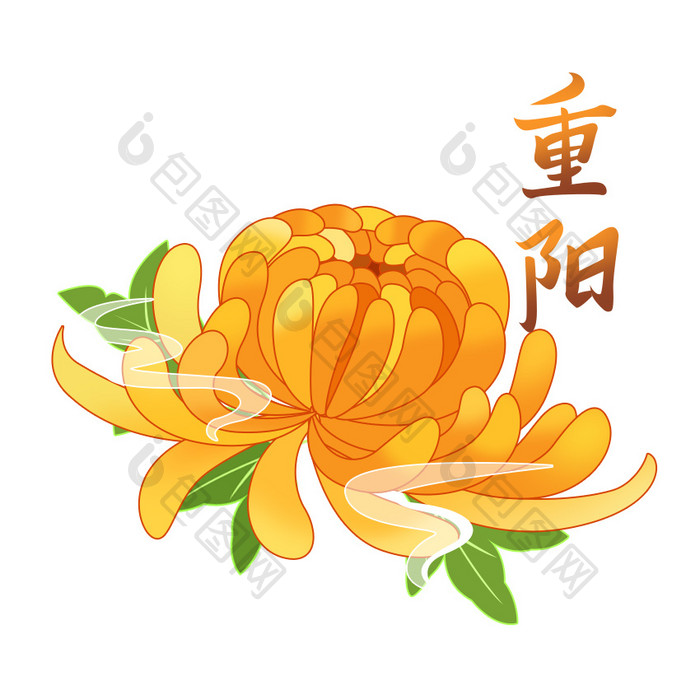 黄色菊花重阳节思亲花卉GIF