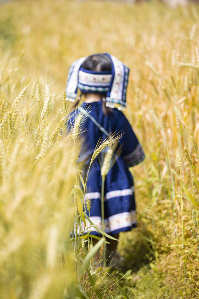 秋天丰收的小麦田野壮族服饰图片