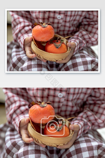 手捧着2只柿子秋天水果图片