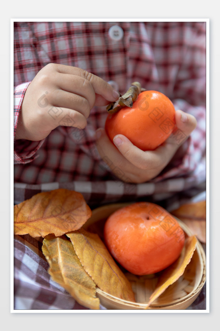 小孩子拿着柿子秋天水果图片图片