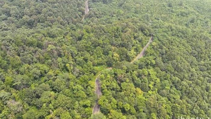 自然风景山川森林4k航拍