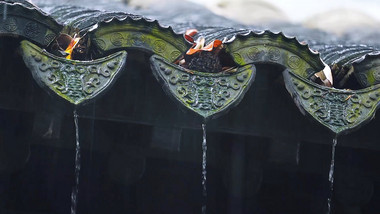 初秋雨中的建筑一角流水实拍