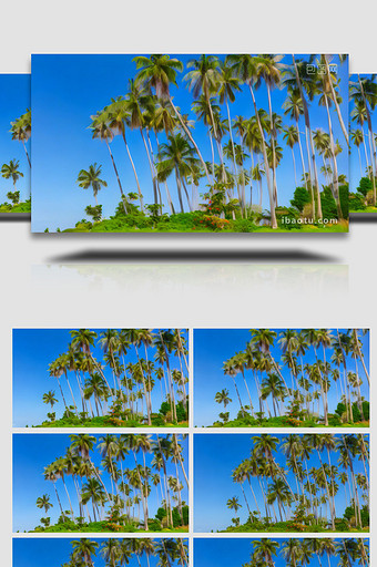 东南亚海滩椰树空镜图片