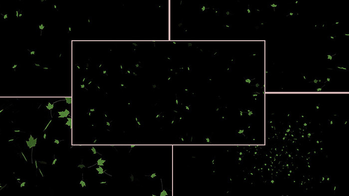五组落叶粒子背景AE模板