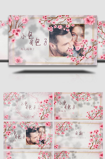 清新粉色花枝婚礼视频AE模板图片