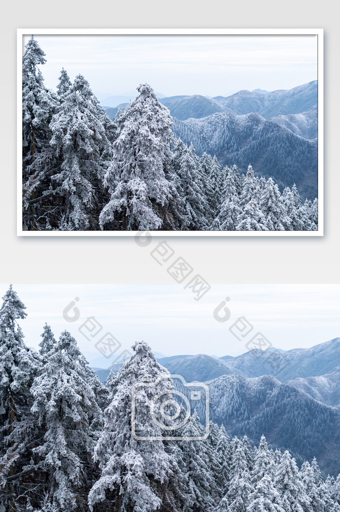 冬天积雪的森林下雪图片图片