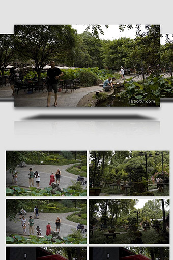 成都人民公园荷花池游客游玩实拍4k图片