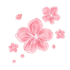 樱花粉色花瓣春天花海悬浮装饰