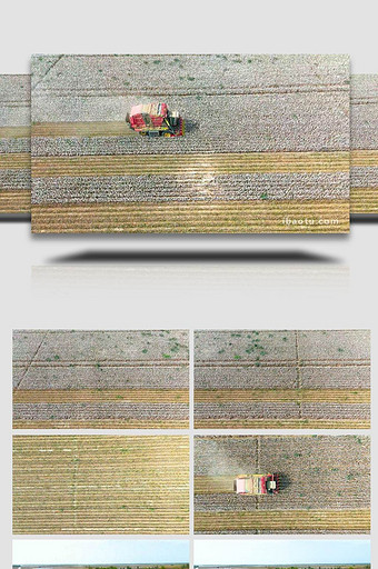 农业生产新疆机器采棉航拍图片