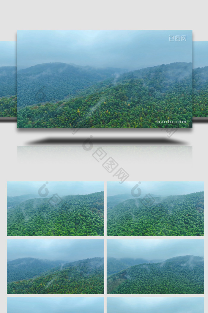 自然风景竹海山间晨雾4K航拍