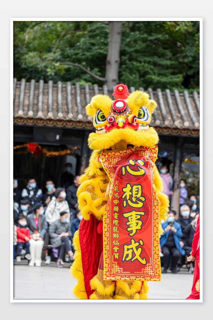 春节传统节目舞狮表演