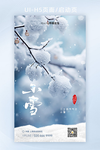 简约意境小雪24节气实景海报图片