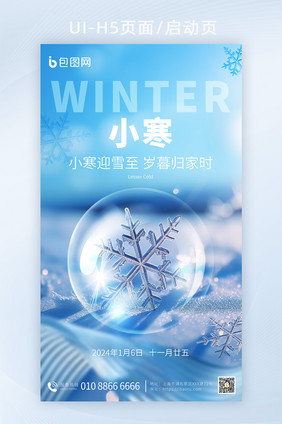 小寒节气冬季雪花数字艺术海报