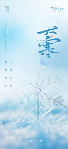 极简大气创意雪花大寒节气日签