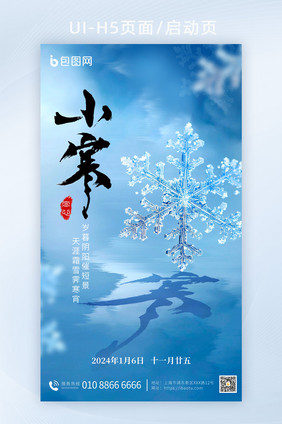 小寒节气雪花数字艺术海报