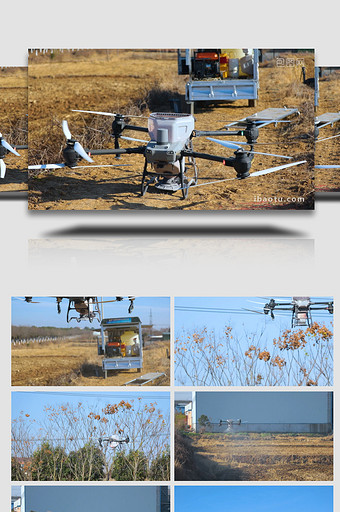 农用无人机在农田喷洒化肥实拍图片