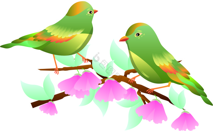春季小鸟相思雀鸟类动物图片