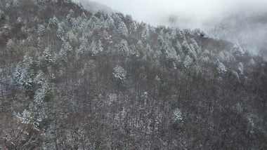 自然冬天山顶雾凇雪景航拍视频