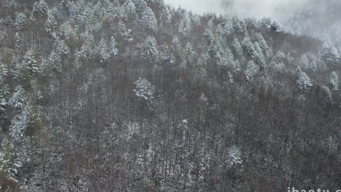 自然冬天山顶雾凇雪景航拍视频